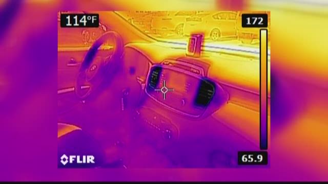 If You See a Child or Pet In a Hot Car, Here's What You Can Do | wltx.com